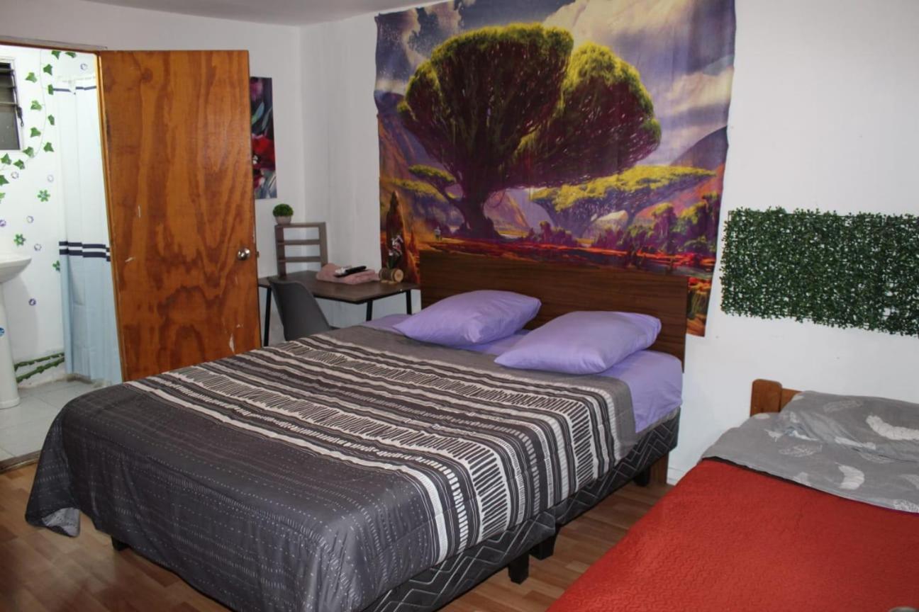 El Valle Copiapo Ngoại thất bức ảnh